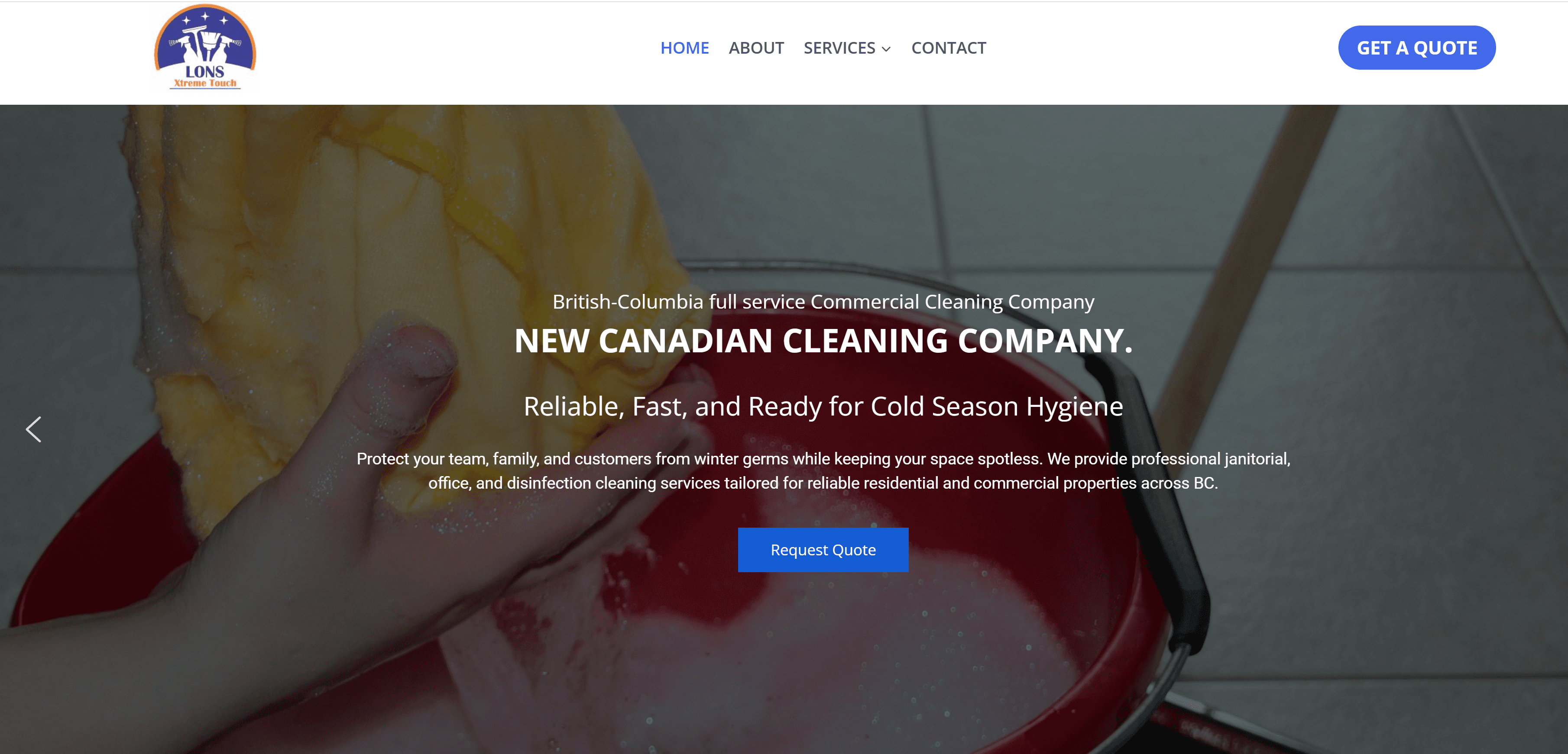 Cleaning services